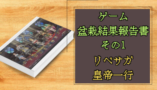 ゲーム盆栽結果報告書その1 リベサガの皇帝一行