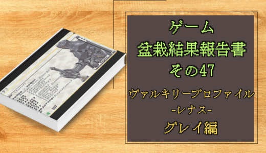 ゲーム盆栽結果報告書その47 ヴァルキリープロファイル -レナス- グレイ編